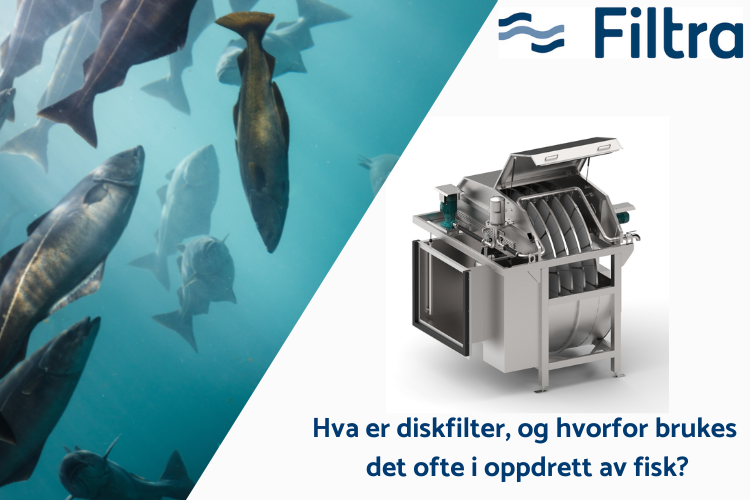 Diskfilter